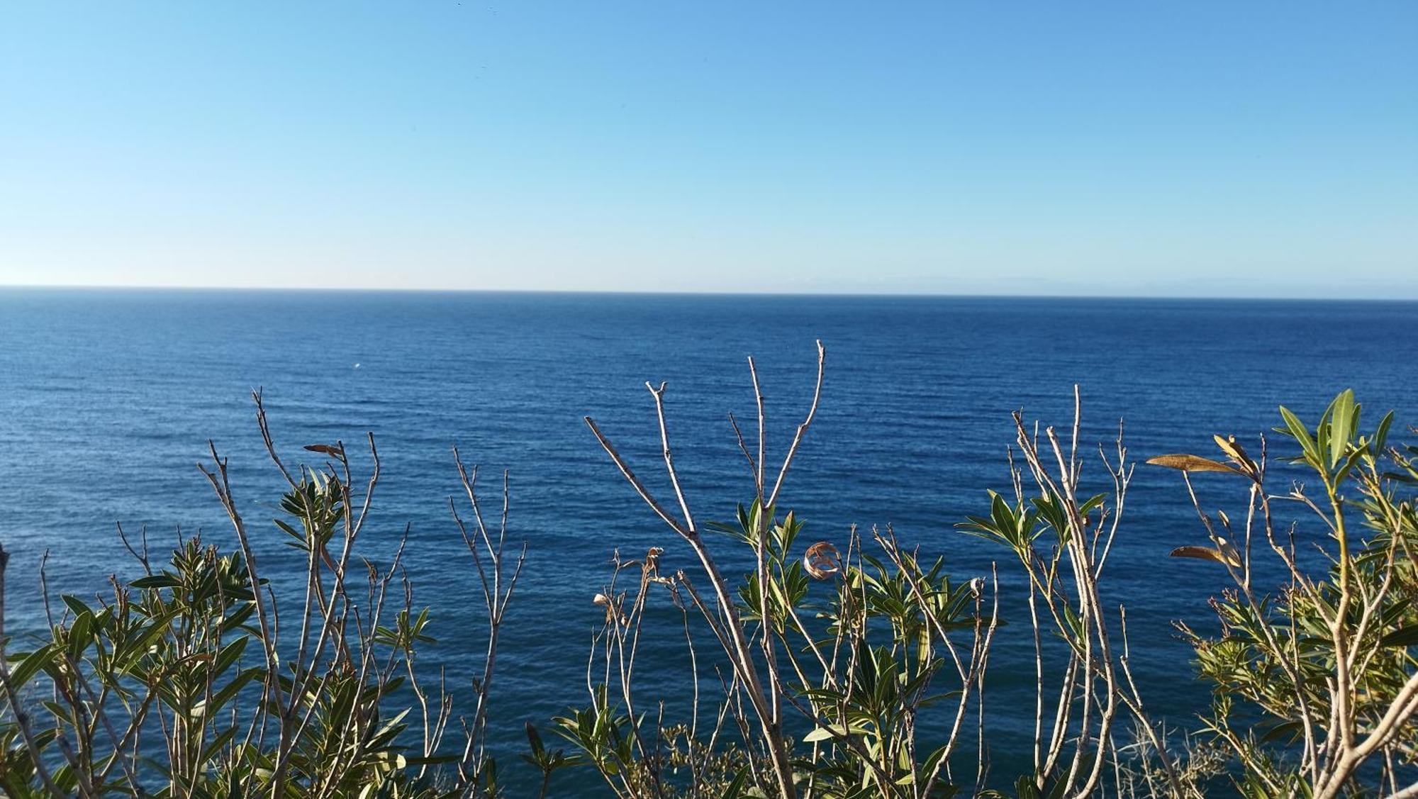 Vistas De Ensueno Junto Al Mar Leilighet Almuñécar Eksteriør bilde